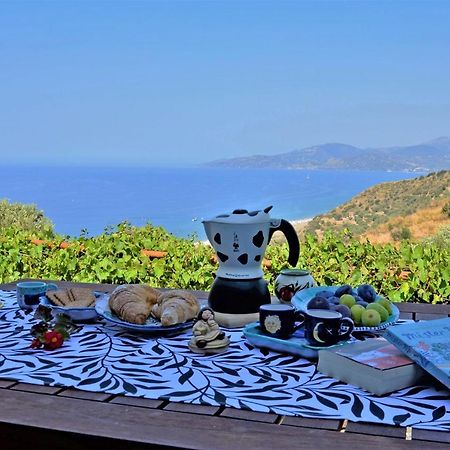 Terrazza Degli Angeli Villa Ascea Luaran gambar
