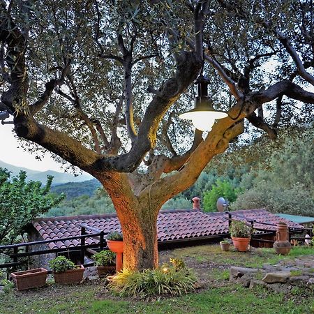 Terrazza Degli Angeli Villa Ascea Luaran gambar