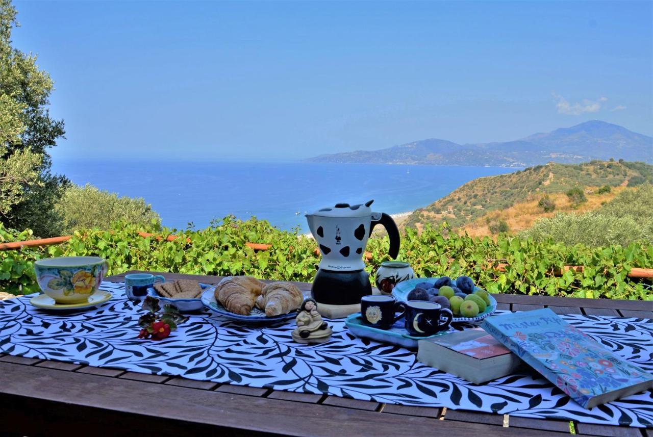 Terrazza Degli Angeli Villa Ascea Luaran gambar