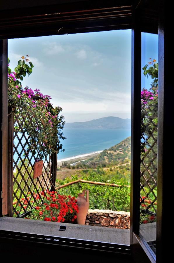 Terrazza Degli Angeli Villa Ascea Luaran gambar