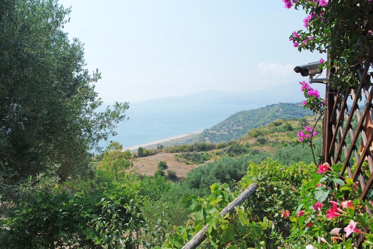 Terrazza Degli Angeli Villa Ascea Luaran gambar